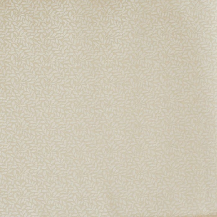 Sapling Pampas Roman Blind Sapling Pampas Roman Blind