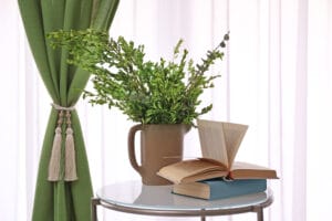 Glass,Table,With,Books,And,Plant,Near,Beautiful,Curtains,Indoors